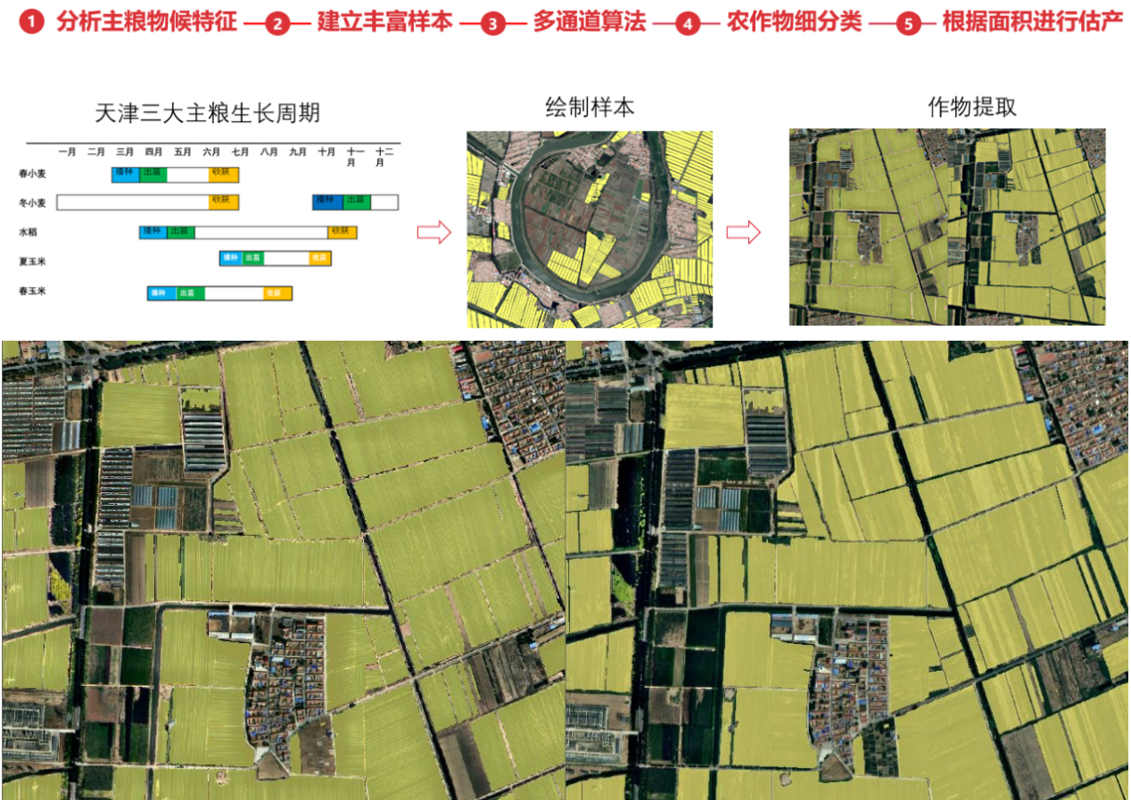 天津市三大主糧識(shí)別流程及效果-合并1.png